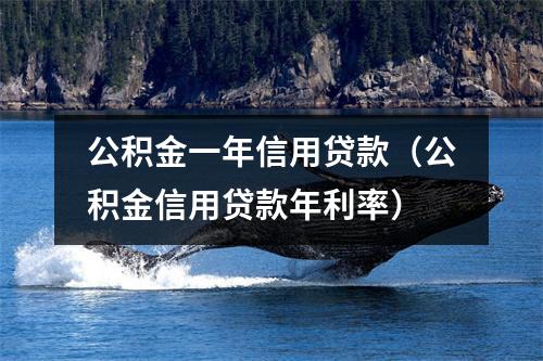 公积金一年信用贷款（公积金信用贷款年利率）