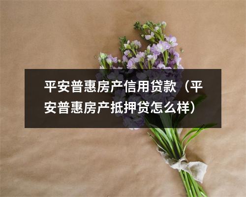 平安普惠房产信用贷款（平安普惠房产抵押贷怎么样）