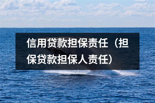 信用贷款担保责任（担保贷款担保人责任）