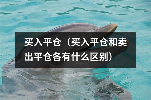 买入平仓（买入平仓和卖出平仓各有什么区别）