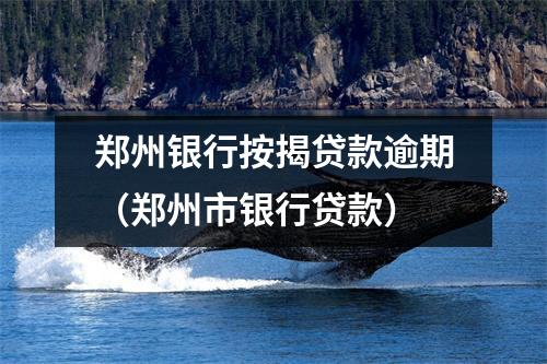 郑州银行按揭贷款逾期（郑州市银行贷款）