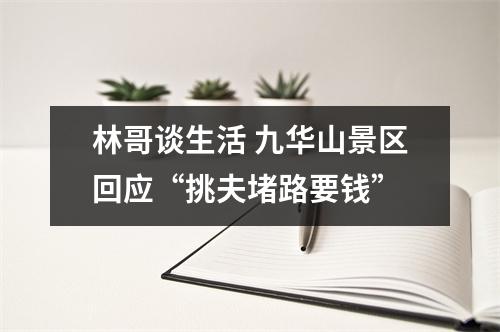林哥谈生活 九华山景区回应“挑夫堵路要钱”