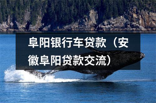 阜阳银行车贷款（安徽阜阳贷款交流）