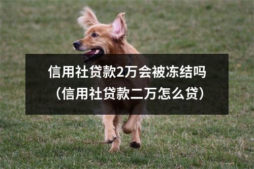 信用社贷款2万会被冻结吗（信用社贷款二万怎么贷）