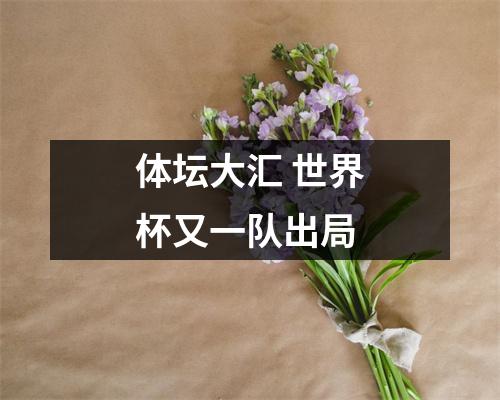 体坛大汇 世界杯又一队出局