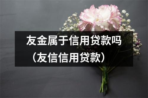 友金属于信用贷款吗（友信信用贷款）