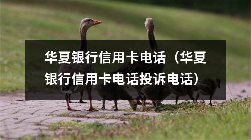 华夏银行信用卡电话（华夏银行信用卡电话投诉电话）