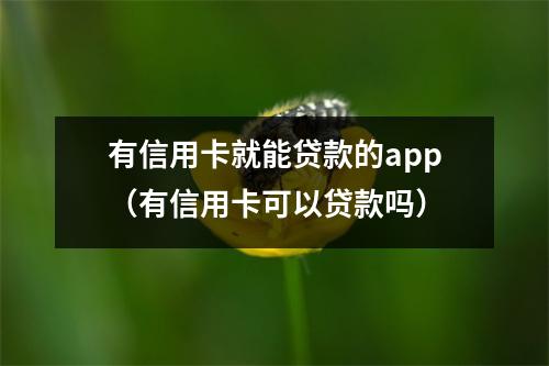 有信用卡就能贷款的app（有信用卡可以贷款吗）
