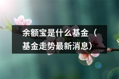 余额宝是什么基金（基金走势最新消息）