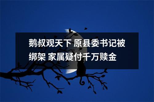鹅叔观天下 原县委书记被绑架 家属疑付千万赎金