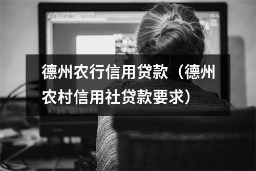 德州农行信用贷款(德州农村信用社贷款要求)
