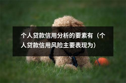 个人贷款信用分析的要素有（个人贷款信用风险主要表现为）
