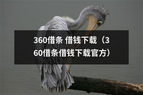 360借条 借钱下载（360借条借钱下载官方）