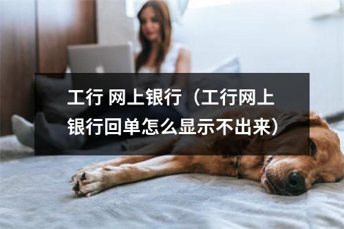 工行 网上银行(工行网上银行回单怎么显示不出来)