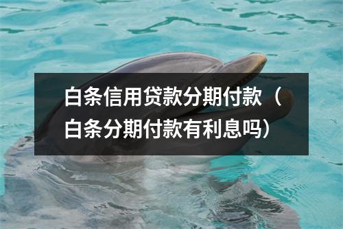 白条信用贷款分期付款（白条分期付款有利息吗）