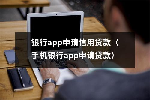 银行app申请信用贷款（手机银行app申请贷款）