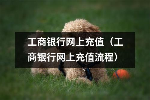 工商银行网上充值（工商银行网上充值流程）