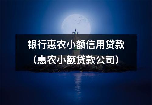 银行惠农小额信用贷款(惠农小额贷款公司)