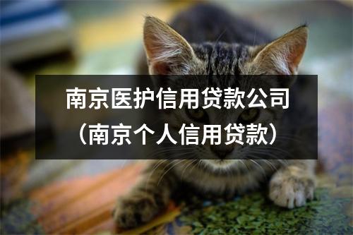 南京医护信用贷款公司（南京个人信用贷款）