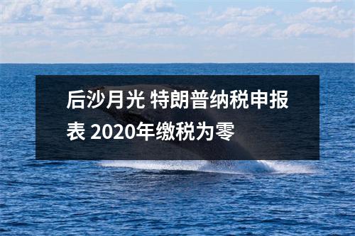 后沙月光 特朗普纳税申报表 2020年缴税为零