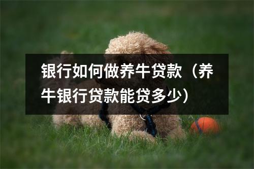 银行如何做养牛贷款（养牛银行贷款能贷多少）