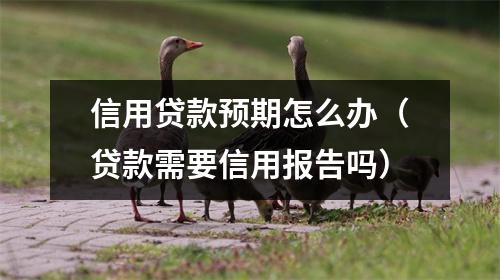 信用贷款预期怎么办（贷款需要信用报告吗）