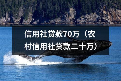 信用社贷款70万（农村信用社贷款二十万）