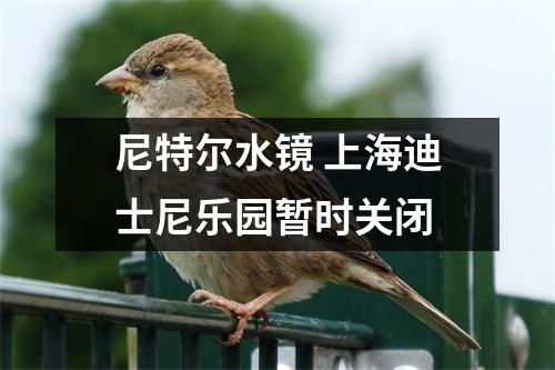 尼特尔水镜 上海迪士尼乐园暂时关闭