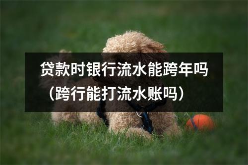 贷款时银行流水能跨年吗（跨行能打流水账吗）