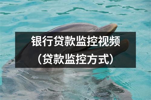 银行贷款监控视频（贷款监控方式）