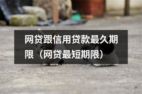 网贷跟信用贷款最久期限(网贷最短期限)