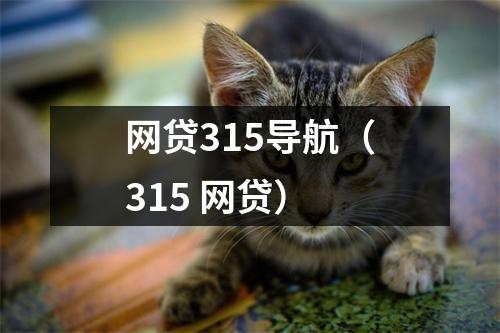 网贷315导航（315 网贷）