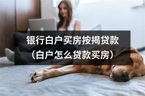 银行白户买房按揭贷款（白户怎么贷款买房）