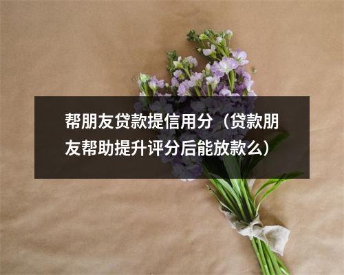 帮朋友贷款提信用分(贷款朋友帮助提升评分后能放款么)