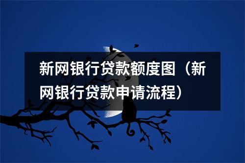 新网银行贷款额度图(新网银行贷款申请流程)