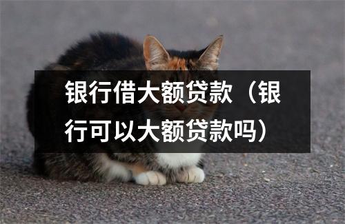 银行借大额贷款（银行可以大额贷款吗）