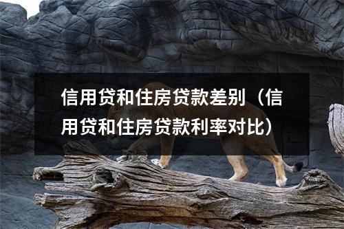 信用贷和住房贷款差别（信用贷和住房贷款利率对比）