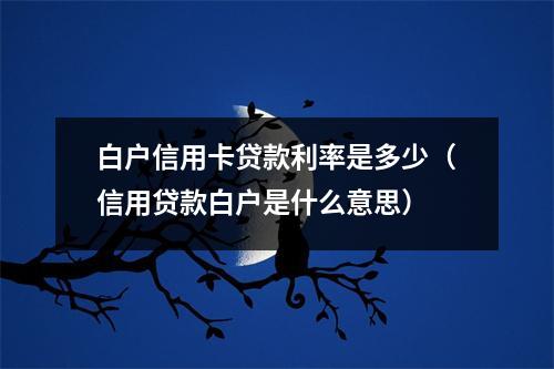 白户信用卡贷款利率是多少（信用贷款白户是什么意思）