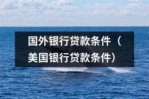国外银行贷款条件(美国银行贷款条件)
