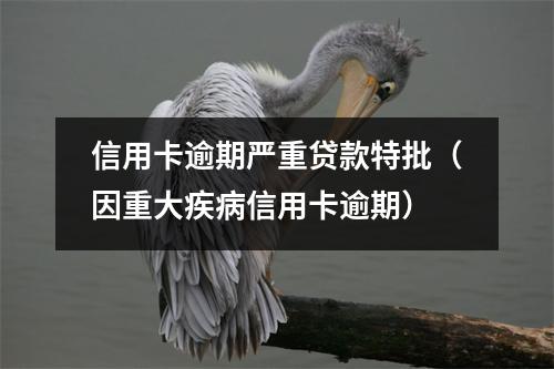 信用卡逾期严重贷款特批（因重大疾病信用卡逾期）