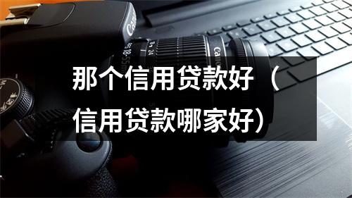 那个信用贷款好（信用贷款哪家好）