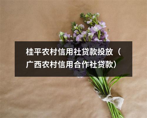 桂平农村信用社贷款投放（广西农村信用合作社贷款）