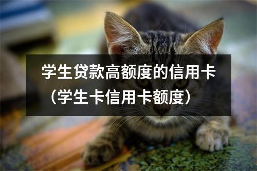 学生贷款高额度的信用卡（学生卡信用卡额度）