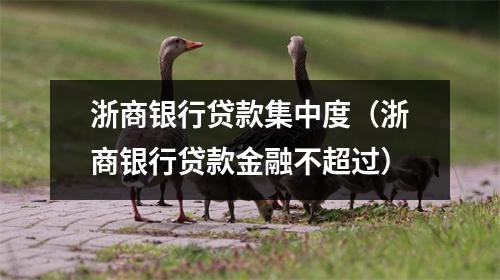 浙商银行贷款集中度（浙商银行贷款金融不超过）