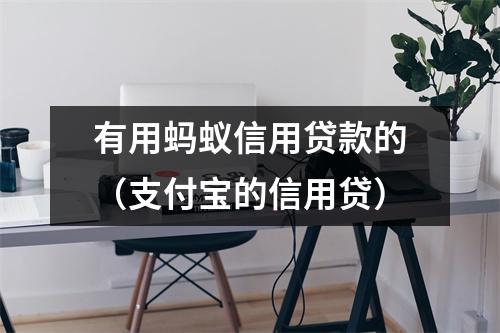 有用蚂蚁信用贷款的（支付宝的信用贷）