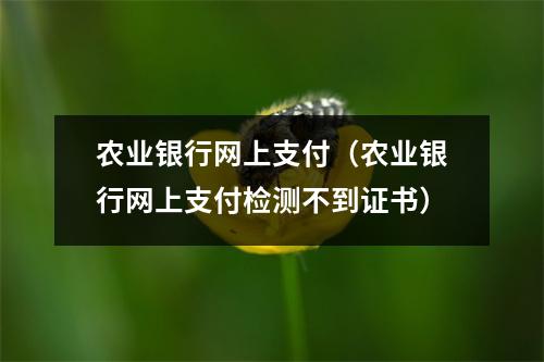 农业银行网上支付(农业银行网上支付检测不到证书)