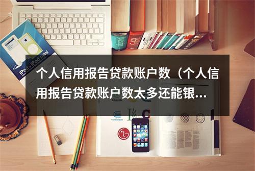 个人信用报告贷款账户数（个人信用报告贷款账户数太多还能银行贷款吗）