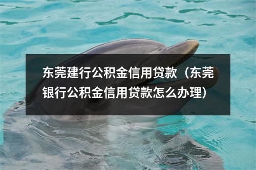 东莞建行公积金信用贷款（东莞银行公积金信用贷款怎么办理）