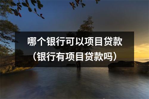 哪个银行可以项目贷款（银行有项目贷款吗）
