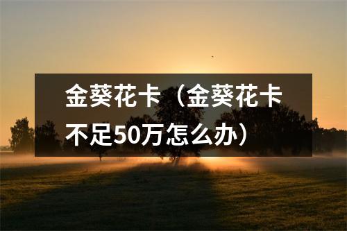 金葵花卡（金葵花卡不足50万怎么办）